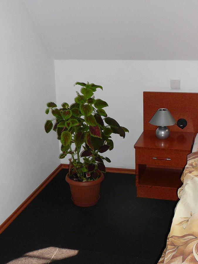 Penzion Praktik Krumlov Přísečná Oda fotoğraf